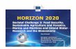 Societal Challenge 2: Food Security, Sustainable ...€¦ · 2. Food security, sustainable agriculture and forestry, marine and maritime and inland water research, and the bioeconomy