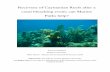 Recovery of Caymanian Reefs after a coral bleaching event ... · Recovery of Caymanian Reefs after a coral bleaching event; can Marine Parks help? Jessica Campbell Bangor University