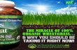 “The Miracle Of 100% Organic Wheatgrass… · Wheatgrass? Wheatgrass is the green sprout of a young wheatgrass plant, grown under optimum conditions, carefully harvested at its