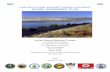 HANFORD NATURAL RESOURCE DAMAGE ASSESSMENT INJURY … · 2015-08-06 · Final Hanford Natural Resource Damage Assessment Injury Assessment Plan ii Columbia River Islands 3-6 Basalt