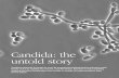 Candida: the untold story - The Abundant Energy Expert · practitioners believe candida is a factor in all major chronic illnessess, from depression and ME or CFS [Chronic Fatigue