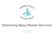 Resuming Spay/Neuter Services...Jen Dalmasso, DVM Revised by: Cristie Kamiya, DVM 6/6/2020 General Policy: HSSV medical staff will resume spay and neuter surgical operations during