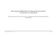 Nursing and Midwifery Professional Assurance Framework for ... · The Chief Nursing Officer (CNO) for Scotland is the Board member with overall responsibility for nursing and midwifery.