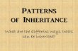 Patterns of Inheritance - biologywithmsmitchell.weebly.combiologywithmsmitchell.weebly.com/.../patterns_of_inheritance_12-13.… · Review: Patterns of Inheritance we know already