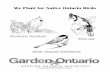 We Plant for Native Ontario Birds · We Plant for Native Ontario Birds . We Plant Native Ontario Plants . We Plant for Native Ontario Bees . I cut circles out of leaves. I am a pretty