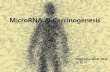 MicroRNA & Carcinogenesis - Seoul National Universitymgel.snu.ac.kr/B/dnload.inc.php?fn=2367_f1_231.pdf&fn2... · MicroRNA & Carcinogenesis 2009 June MGEL W/S ... 3> Epigenetic changes