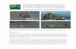 Proposal to establish a marine protected area in the ... · Establishing this MPA is consistent with the United Nations Framework Convention on Climate Change of which Bangladesh