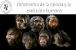 Dinamismo de la ciencia y la evolución humana · humana. Primates •Los primates incluyen tarseros, lémures, monos, simios, y humanos. Primates representativos: Tarsero . Primates