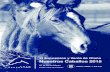 XI EXPOSICIÓN DE OTOÑOcriapoloargentino.com.ar/NuevoSitio/docs/catalogos/... · XI EXPOSICIÓN DE OTOÑO NUESTROS CABALLOS 2015" Remate de Productos Polo Argentino Viernes, 27 de