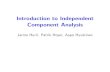 Introduction to Independent Component Analysiscsatol/gep_tan/ICA_HUT.pdfIntroduction to Independent Component Analysis Jarmo Hurri, Patrik Hoyer, Aapo Hyv¨arinen 1 Course timetable