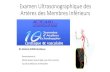 Examen Ultrasonographiquedes Artères des Membres Inférieurs 10amcar.ma/ressources/att/ateliers/2017/Antoine DIARD... · 2017-10-31 · Examen Ultrasonographiquedes Artères des