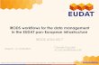 iRODS workflows for the data management in the EUDAT pan … · 2020-06-04 · Persistent identifiers The persistent identifiers (PIDs) management consists of multiple rules and a