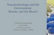 Nanotechnology and the Environment: Beauty and/or the Beast? · Nano and the Environment Applications Reactive to existing problems Proactive in preventing future problems. Implications