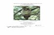 MEXICAN SPOTTED OWL RECOVERY PLAN, FIRST REVISON …...Oct 16, 1995  · 2012. Final Recovery Plan for the Mexican Spotted Owl (Strix occidentalis lucida), First Revision. U.S. Fish