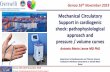 Mechanical Circulatory Support in cardiogenic shock ... · Genoa 15th-16th November 2019 AM Leone: Pathophysiology of Mechanical Circulatory Support •PV Loops offers a comprehensive