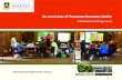 An overview of Poutama Pounamu Online · Poutama Pounamu Online, incorporates individualised and group engagement supported by a mix of curated, web-based content, reflection activities