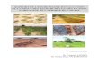 RAPPORT DE L’ETUDE PILOTE D’EVALUATION DE L’IMPACT …AGRHYMET : Centre de formation et d’application en agro hydrologie et météorologie appliquée/ Niger AHA : Aménagements