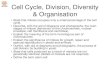 Cell Cycle, Division, Diversity & Organisation · 2019-05-12 · Cell Cycle, Division, Diversity & Organisation •State that mitosis occupies only a small percentage of the cell