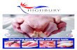 Hand slaughtered Halal Delivering great ... - Highbury Poultry · Hand slaughtered Halal. Agriculture. ... under the control of the Highbury Poultry management team, ensuring our
