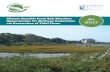 Climate Benefits From Salt Marshes: fact via Restoration ...€¦ · As discussed below, these can be relatively large. By applying the Verified Carbon System (VCS) methodology for