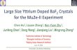 Large Size Yttrium Doped BaF Crystals for the Mu2e-II ...zhu/talks/ryz_200618_Mu2e_BaF.pdf · Large Size Yttrium Doped BaF 2 Crystals for the Mu2e-II Experiment Chen Hu 1, Liyuan