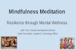 Mindfulness Meditation Resilience through Mental Wellness · Mindfulness Meditation-purposefully paying attention to the here and now-being aware of each moment through body senses-accepting