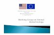 working group on animal biotechnology en.doc€¦ · Group on Animal Biotechnology. “Mandate” to be defined `Aim: to encourage an integrated program of US-EC collaboration combining