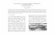 Case Study of a Downslope Windstorm April 23, 1999 Wasatch ... · ranging from purely gap flow winds, to mountain waves, to a combination of both. The strongest winds tend to happen
