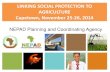 LINKING SOCIAL PROTECTION TO AGRICULTURE Capetown ...€¦ · AGRICULTURE Capetown, November 25-26, 2014 NEPAD Planning and Coordinating Agency . ... •Shifting from managing crises