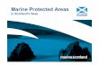 Marine Protected Areas and Presentations... · in Scotland’s Seas 1. Offshore SAC management 2. Offshore MPA selection 3. Fisheries displacement study . Marine Protected Areas in