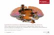 The dynamic functional capacity theory: A ...€¦ · COGNITIVE SCIENCE & NEUROSCIENCE | REVIEW ARTICLE The dynamic functional capacity theory: A neuropsychological model of intense