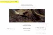 GM 6 S 3 I` - Géologie Québecgq.mines.gouv.qc.ca/documents/EXAMINE/GM69313/GM69313.pdf · GM 6 S 3 I` Prepared for; Glencore Canada Prepared by: Robert Banville January 2016 REÇU