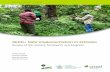 REDD+ MRV implementation in Ethiopia low res.pdf · 2 Key activities for establishing Ethiopia’s REDD+ MRV system. 8 3 Activities for establishing the MRV system and setting the
