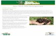Non-Toxic Pest Management - Hornsby Shire · Non-Toxic Pest Management page 1 of 5 PREVENTION Prevention 1. SOIL Compost – To keep plants stress free, they need soil that has a