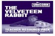 THE VELVETEEN RABBIT - Unicorn Theatre VELVETEEN... · The Velveteen Rabbit CPD is a practical workshop day which gives teachers the opportunity to: experience the activities as participants;