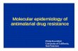 Molecular epidemiology of antimalarial drug resistance · 2010-04-07 · antimalarial drugs? • An advantage of a PI based antiretroviral regimen might be prevention of malaria.
