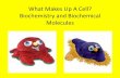 What Makes Up A Cell? Biochemistry and Biochemical Molecules€¦ · Biochemistry and Biochemical Molecules . What is a cell made of? •Almost all biological molecules contain at