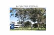 Bayside Tree Strategy · 2.1 Promote Tree Health 2.1. Investigate the potential impacts of climate change on existing tree populations in Bayside and the implications for tree selection,