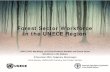 Forest Sector Workforce in the UNECE Region · Forest Sector Workforce in the UNECE Region UNECE/FAO Workshop on Forest Products Markets and Forest Sector Workforce in the Balkans