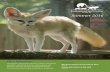 ST. LOUIS, MO Summer 2016 - Endangered Wolf Center...Summer 2016 Our Mission: To preserve and protect Mexican wolves, red wolves . and other wild canid species, with purpose and passion,