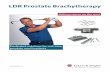 LDR Prostate Brachytherapy · 2018-01-30 · 2 Expertise in LDR Brachytherapy Eckert & Ziegler BEBIG – Your Complete Brachytherapy Provider “We strongly believe in LDR brachytherapy
