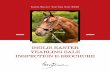 INGLIS EASTER YEARLING SALE INSPECTION E-BROCHURE · INSPECTION E-BROCHURE. Inglis Easter Yearling Sale 2020 Torryburn Stud - Lot 338 - Exceed And Excel/ Axiomatic Bay Colt Watch