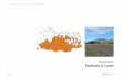 Character Area 1.1 Paddocks & Cones - Planning - Planning · 2018-01-15 · Lake Corangamite Lake Keilambete Mt Emu Creek Princes Highway erang-Mortlake Road Darlington Road SHIRE