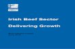 Irish Beef Sector - Meat Industry Ireland · 2018-11-02 · Irish Beef Sector Delivering Growth 2 Executive Summary National Economic Impact of the Beef Sector The beef sector in