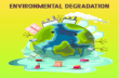 Environmental Degradation Infographic