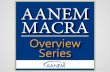 Quality Payment Program - AANEM · 2017-01-05 · o Majority of clinicians will participate in MIPS for at least the first couple of years o Clinicians will have payments increased,