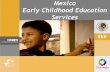 Mexico Early Childhood Education Services · Types of Initial Education Services (0 –4 years) Type Service Institution Sector Formal (Children-lead) Community childcare centres