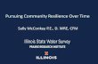 Pursuing Community Resilience Over Time · Municipal services Percent municipal expenditures for fire, police, and EMS Mitigation Percent population participating in Community Rating