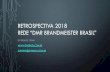 RETROSPECTIVA 2018 REDE “DMR BRANDMEISTER BRASIL”€¦ · RETROSPECTIVA 2018 REDE “DMR BRANDMEISTER BRASIL ... existem outras modalidades com seu grande espaço e uso em nosso