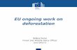 EU ongoing work on deforestation€¦ · 26-08-2018  · Clear EU added value 3. High complementarity with existing EU legislation 4. Respect international policy architecture and